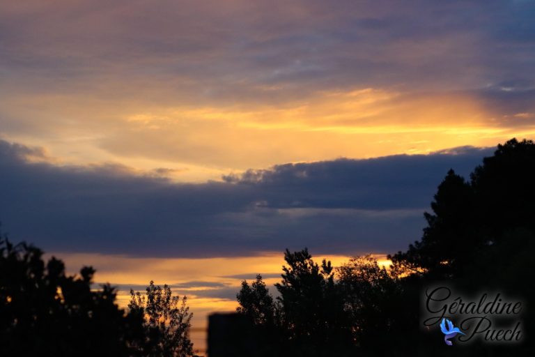 Levé de soleil Forêt du Bourgailh à Pessac