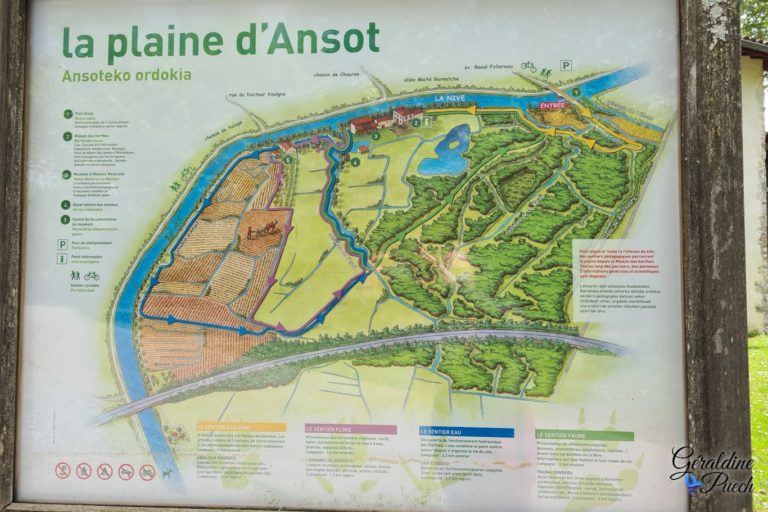 Plan-plaine-dansot-a-bayonne