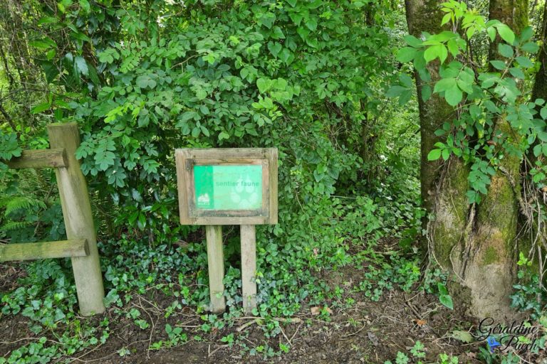 Sentier-Faune-plaine-dansot-a-bayonne