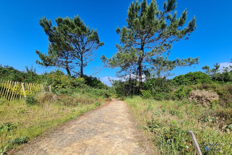 Sentier-Parc-ecologique-Izadia