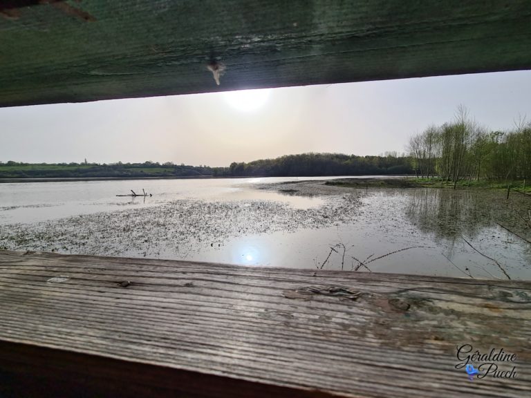 Vu de l'observatoire Lac de le Prade à Bazas