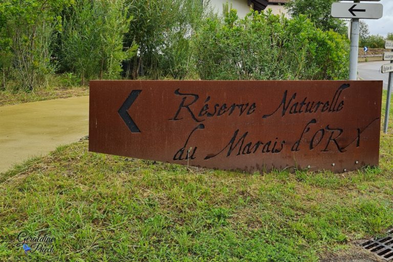 accueil-Reserve-Naturelle-marais-Orx-Labenne