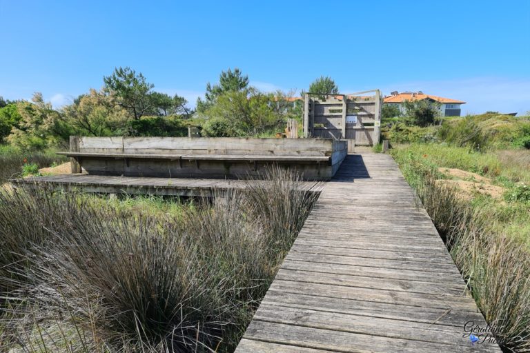 observatoire-mesanges-Parc-ecologique-Izadia