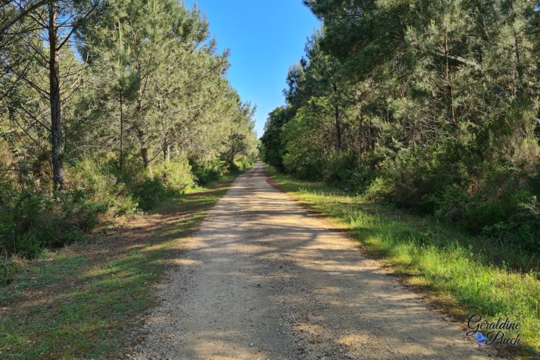 Chemin-Lac-dArjuzanx