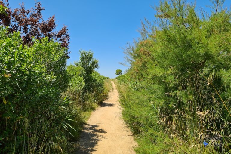 Paysage-sentier-du-littoral