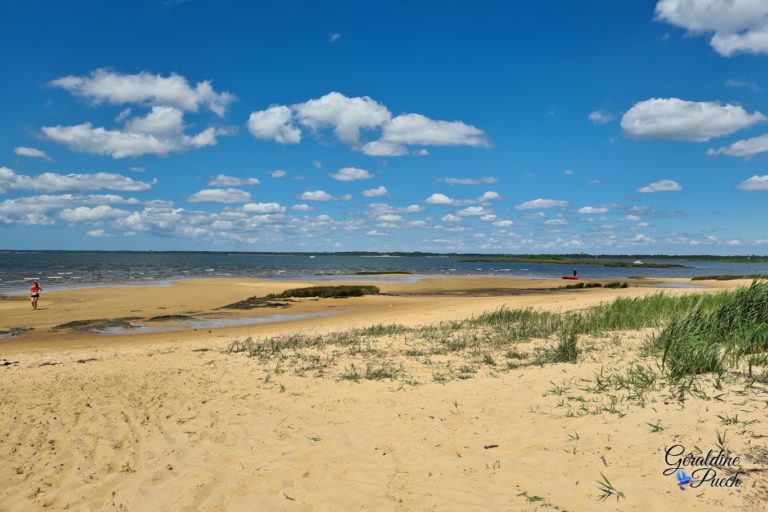 Plage-sentier-du-littoral