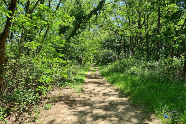 Sentier-Lac-dArjuzanx