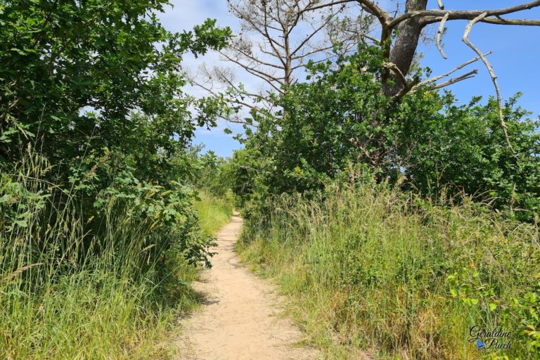 sentier-suite-Prés-Salés-Arès