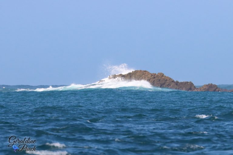 Ile aux moines Vagues Les 7 îles sur le Sant C’hirec