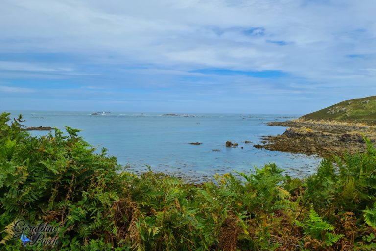 Ile aux moines Vue Les 7 îles sur le Sant C’hirec