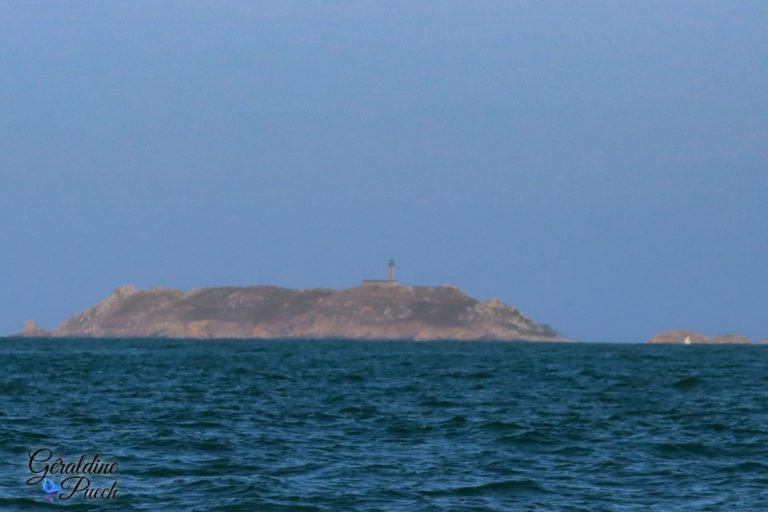 Iles aux moines loin Les 7 îles sur le Sant C’hirec