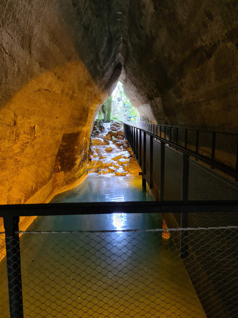 tunnel 20211107 - Bioparc à Doué-la-fontaine